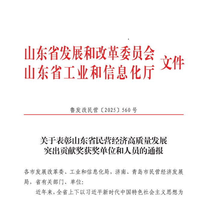 成山集团总裁、南宫ng娱乐总裁兼首席执行官车宝臻荣膺山东省民营经济高质量发展突出贡献奖